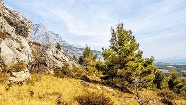 Biokovo, Autor TZ Baška Voda